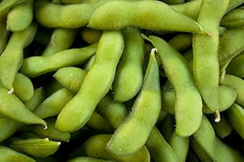 Green Edamame Soybean Seeds for Planting heirloom & Non-GMO Seeds